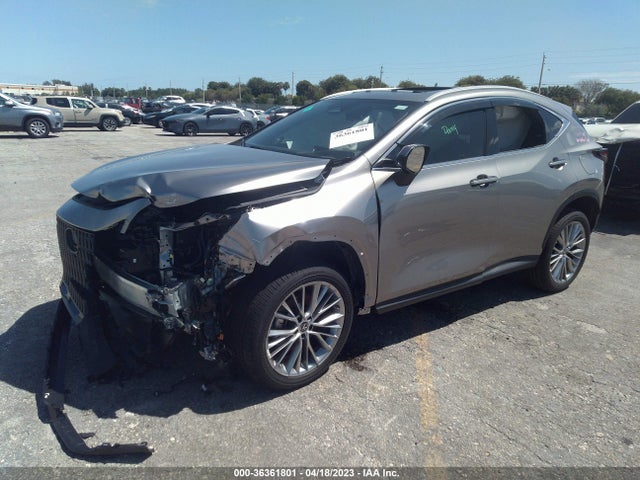 2023 Lexus NX, VIN: 2T2HGCEZ8PC018863