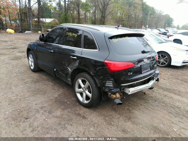 WA1M2AFP7HA062565 Audi Q5 Premium Plus