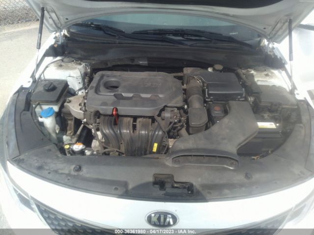 5XXGU4L34GG085126 KIA OPTIMA EX