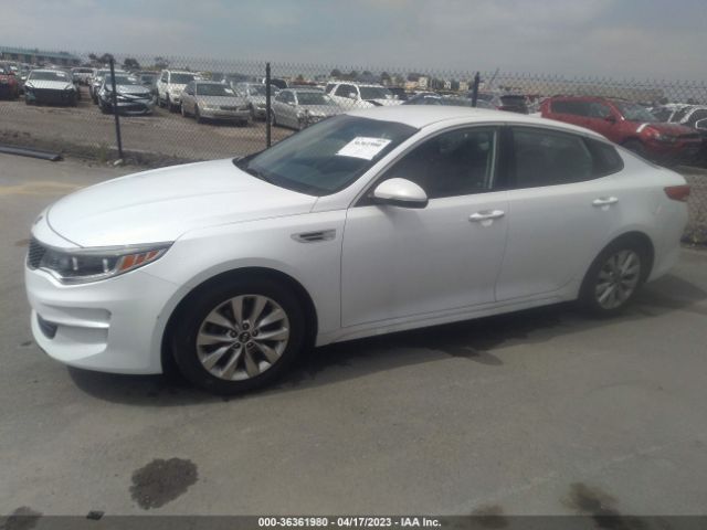 5XXGU4L34GG085126 KIA OPTIMA EX