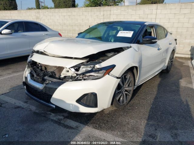 1N4AA6AV4KC361334 Nissan MAXIMA SV