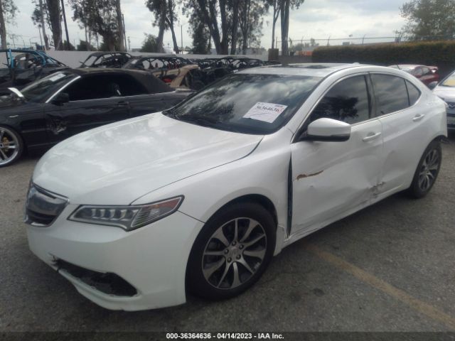 19UUB1F57GA014391 Acura TLX TECH