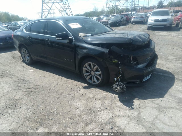 2019 1G11Z5SA3KU134177 main image