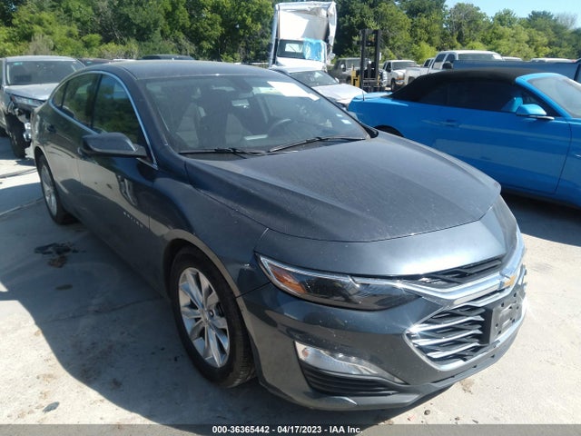 2019 CHEVROLET MALIBU LT VIN: 1G1ZD5ST8KF130892