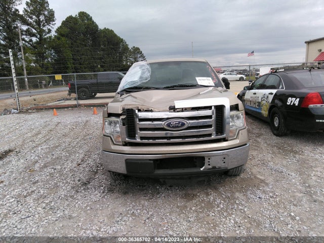 2010 FORD F-150 XL/XLT/FX2 SPORT VIN: 1FTEW1C84AFB65396