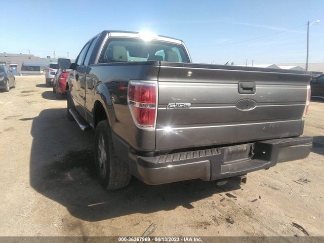 2010 FORD F-150 XL/STX/XLT VIN: 1FTEX1E8XAFC48499