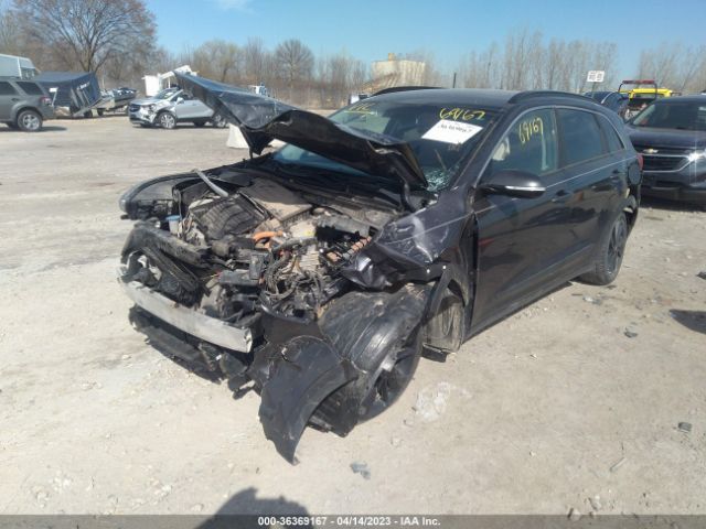 KNDCC3LC0J5134975 KIA NIRO EX