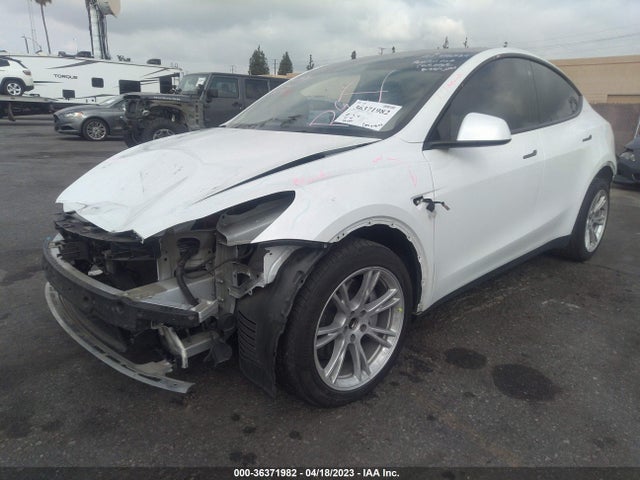 Tesla Model Y Long Range 2021 5YJYGDEE4MF219917 Image 2