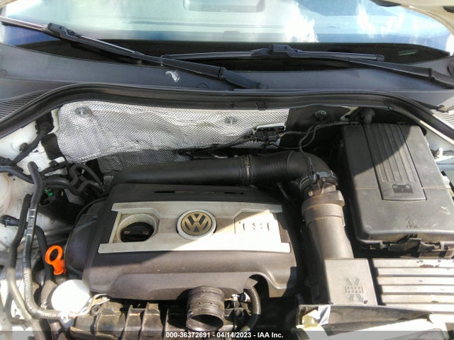 2009 VOLKSWAGEN TIGUAN S VIN: WVGAV75N89W523582