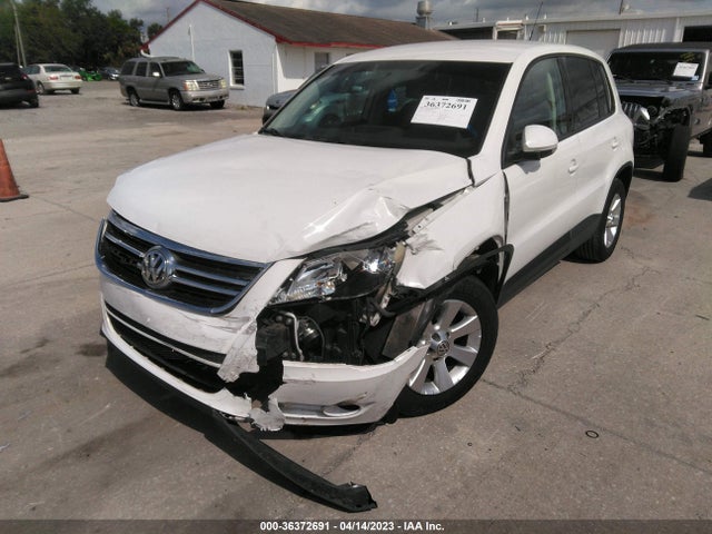 2009 VOLKSWAGEN TIGUAN S VIN: WVGAV75N89W523582