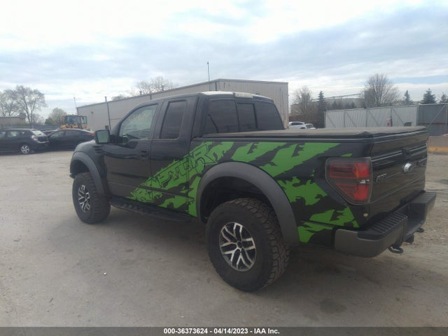 2010 FORD F-150 SVT RAPTOR VIN: 1FTEX1E60AFB82219