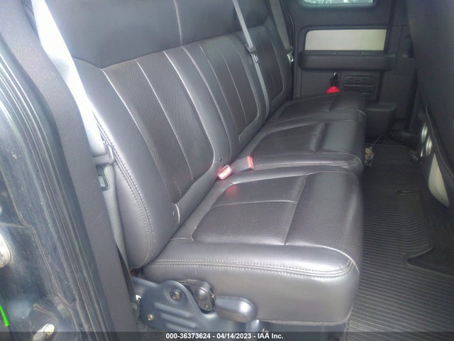 2010 FORD F-150 SVT RAPTOR VIN: 1FTEX1E60AFB82219