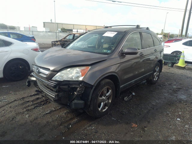 2009 HONDA CR-V EX-L VIN: 5J6RE38709L024140