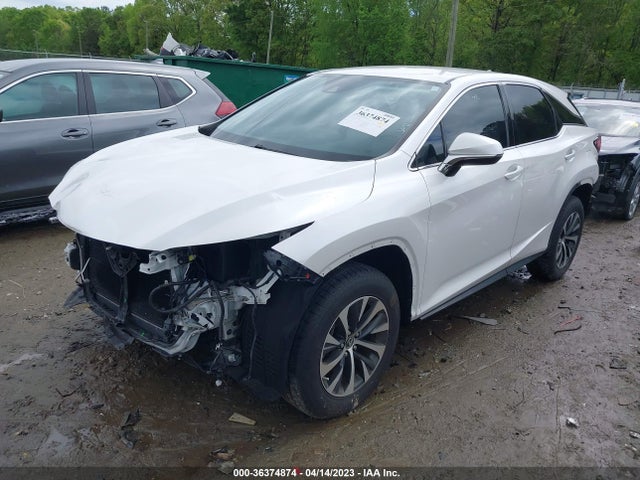 2020 Lexus RX, VIN: 2T2AZMAAXLC154214