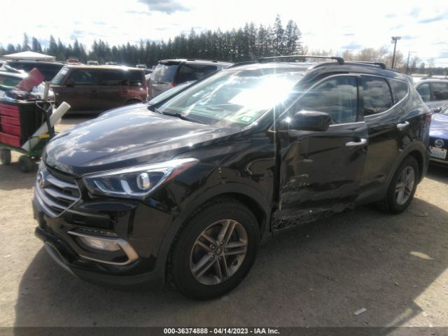 5NMZUDLB6HH024248 Hyundai Santa Fe Sport 2.4l