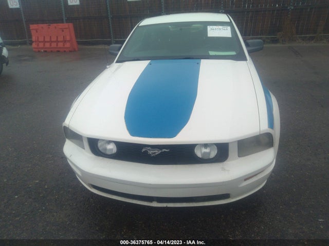 2006 FORD MUSTANG GT VIN: 1ZVFT82H665126262