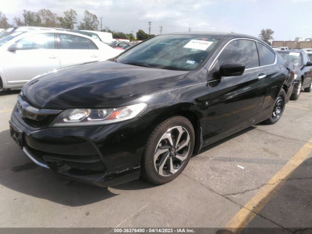 1HGCT1B31GA012553 Honda Accord Lx-s