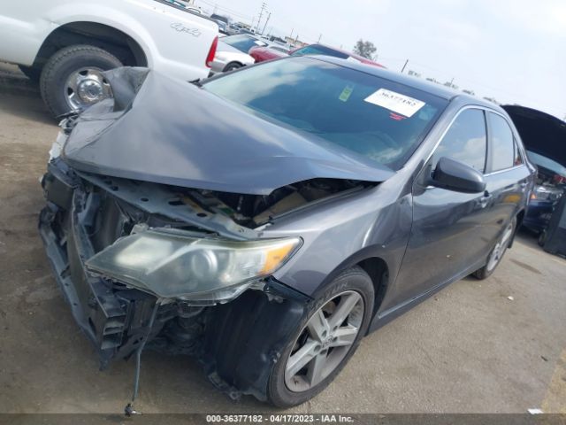4T1BF1FK1EU764683 Toyota Camry L/le/xle/se/se Sport