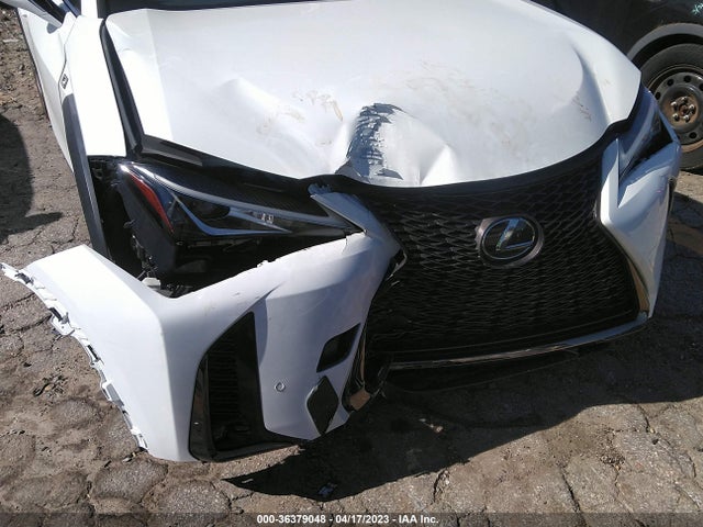 2021 Lexus UX, VIN: JTHE3JBHXM2032811