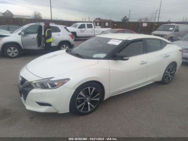 1N4AA6APXJC395519 Nissan MAXIMA SV