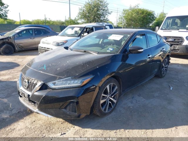 1N4AA6CV1LC381278 Nissan MAXIMA SV