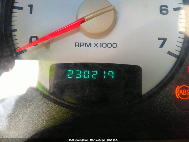 2002 DODGE RAM 1500 VIN: 1D7HA16KX2J132779