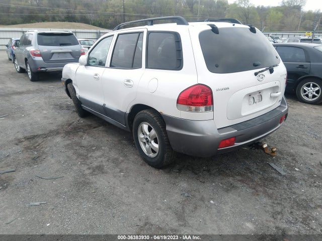 2005 HYUNDAI SANTA FE GLS VIN: KM8SC73D15U917175