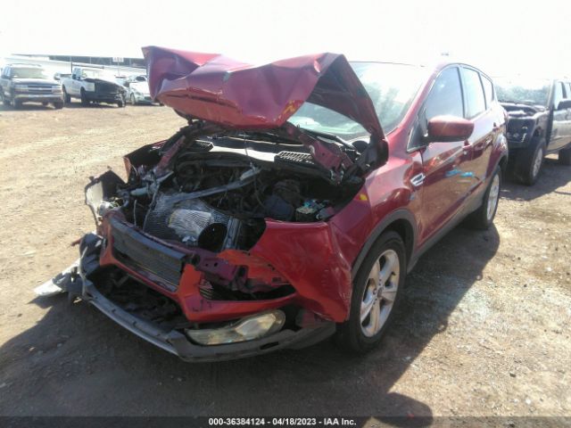 1FMCU0GX3FUB12888 Ford ESCAPE SE