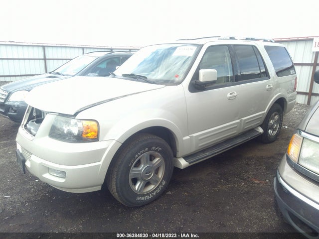 2005 FORD EXPEDITION LIMITED VIN: 1FMFU19595LA48875