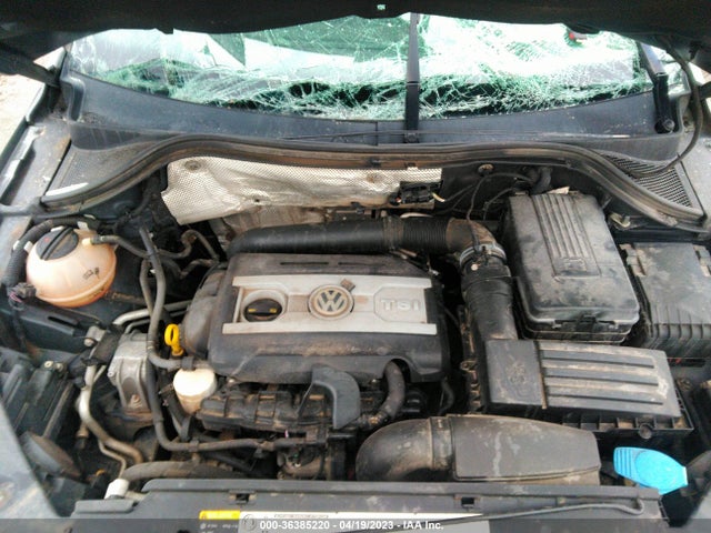 WVGBV7AX8GW522117 Volkswagen TIGUAN S