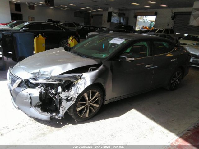 1N4AA6AV3KC365908 Nissan MAXIMA SV
