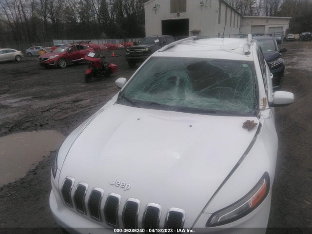 2014 JEEP CHEROKEE LATITUDE VIN: 1C4PJMCSXEW321290