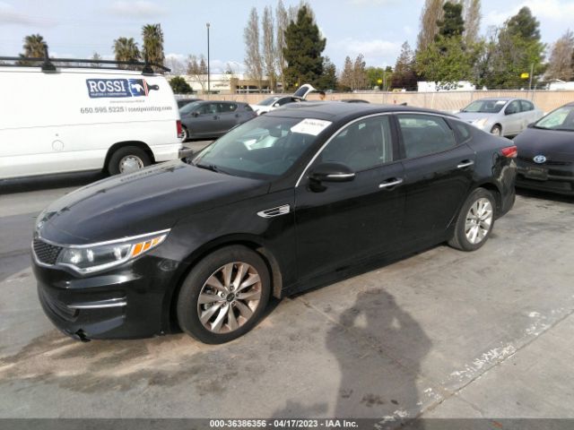 5XXGU4L34HG175166 KIA OPTIMA EX