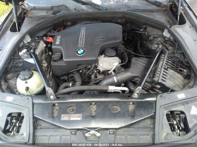 2013 BMW 5 SERIES 528I VIN: WBAXG5C56DD233729
