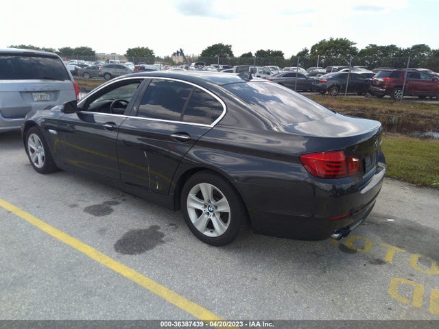 2013 BMW 5 SERIES 528I VIN: WBAXG5C56DD233729