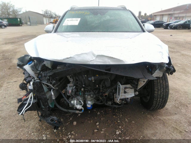 2019 HYUNDAI SANTA FE LIMITED VIN: 5NMS5CAD2KH055209