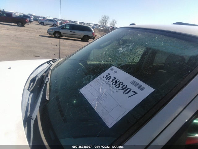 2009 FORD ESCAPE XLT VIN: 1FMCU93G29KC46138