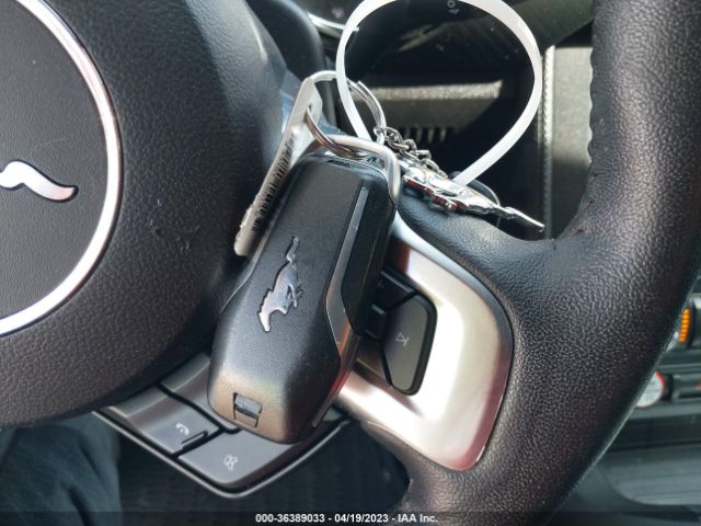 1FA6P8AM1H5342440 Ford Mustang V6