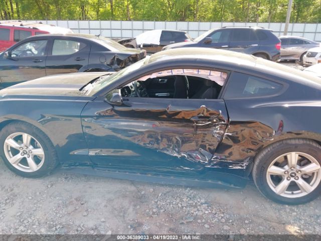 1FA6P8AM1H5342440 Ford Mustang V6