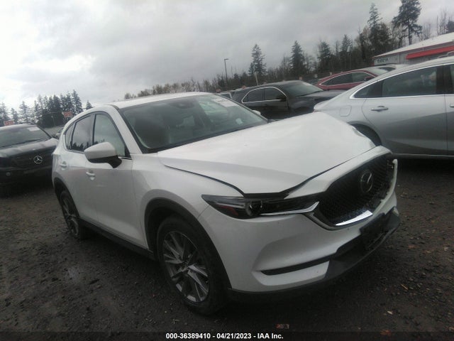 2019 JM3KFBDM9K0658152 main image