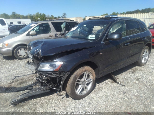 WA1D7AFP0GA040195 Audi Q5 Premium Plus