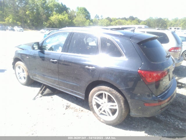 WA1D7AFP0GA040195 Audi Q5 Premium Plus