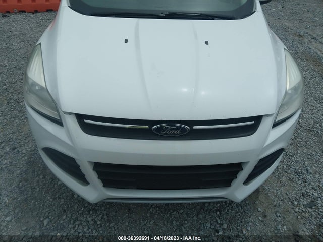Ford ESCAPE SE 2014 1FMCU9GX3EUA86604 Image 7