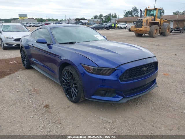 2015 Ford Fastback, VIN: 1FA6P8AM2F5314238