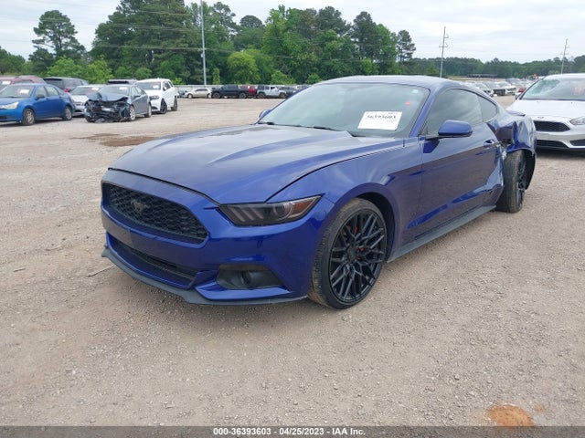 2015 Ford Fastback, VIN: 1FA6P8AM2F5314238