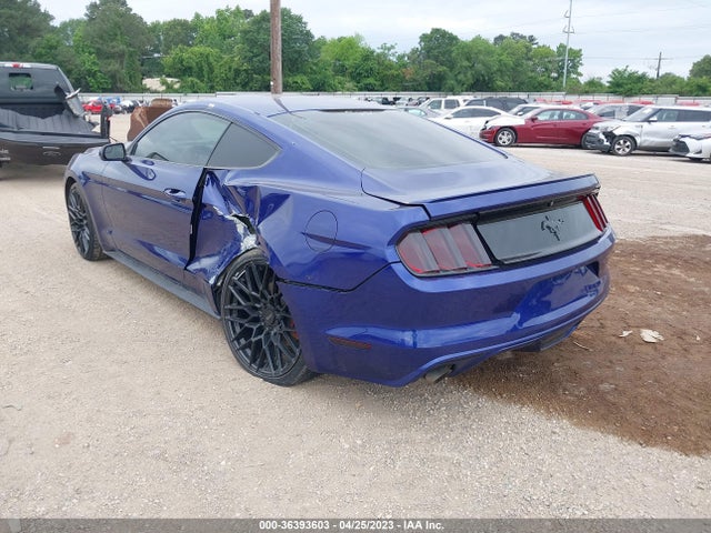 2015 Ford Fastback, VIN: 1FA6P8AM2F5314238
