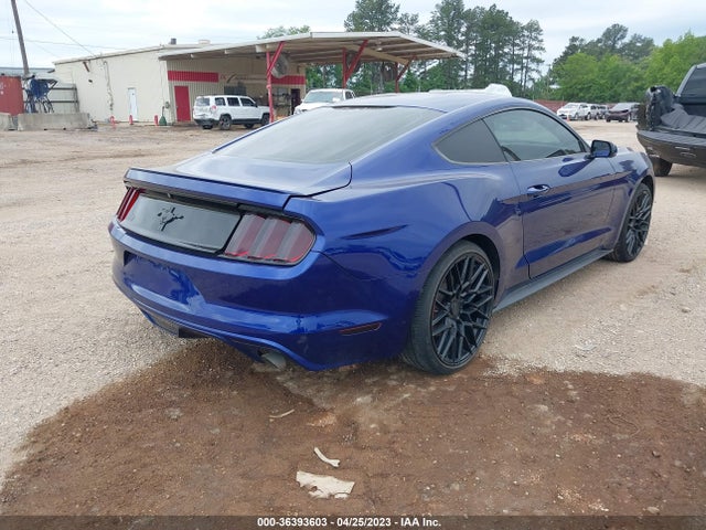 2015 Ford Fastback, VIN: 1FA6P8AM2F5314238