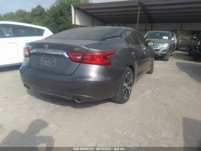 1N4AA6AP0JC402705 Nissan MAXIMA SV