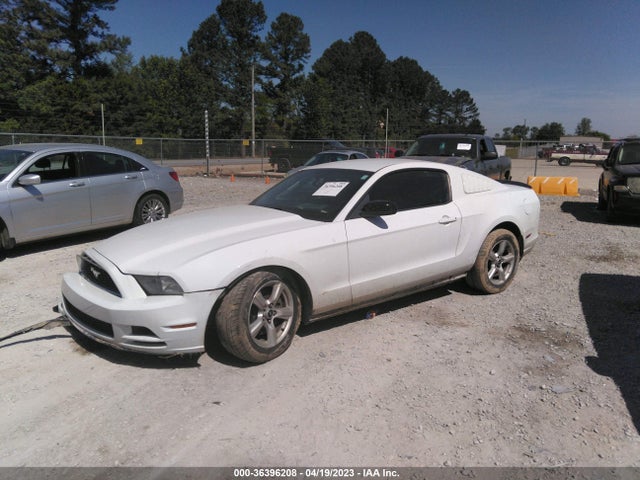 Ford Mustang V6 2014 1ZVBP8AMXE5316338 Image 2