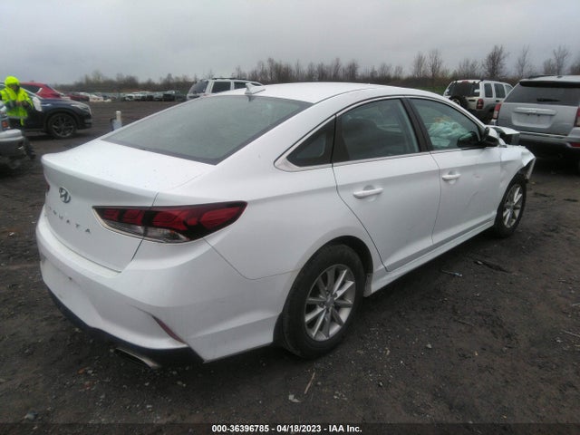 2019 HYUNDAI SONATA SE VIN: 5NPE24AF7KH797623